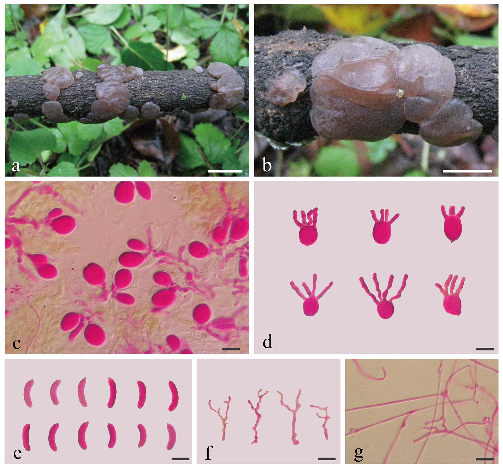 Figure 14